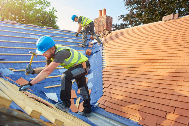 Best Skylight Installation and Repair  in Short Pump, VA